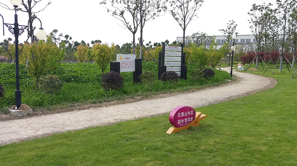 公园生态超疏水土步道